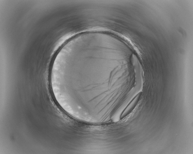 X0000115531422200912040940