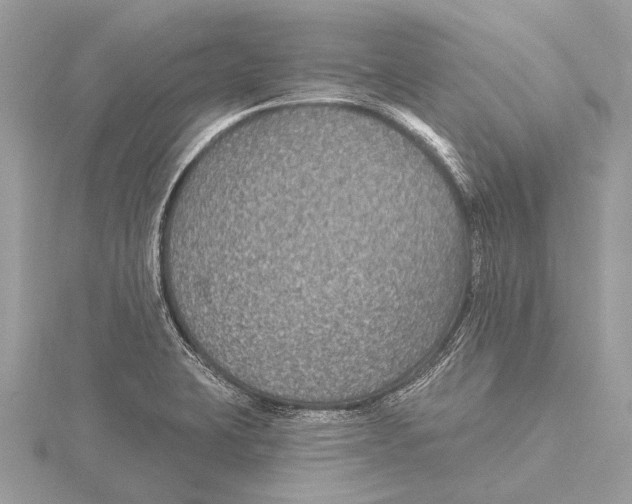 X0000115531423200912040940