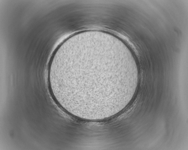 X0000115531424200912040940