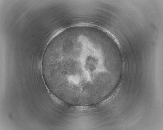 X0000115531425200912040940