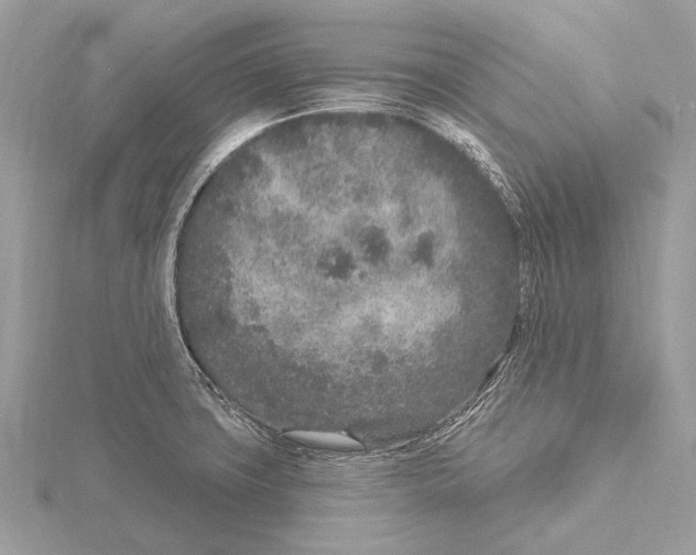 X0000115531427200912040940