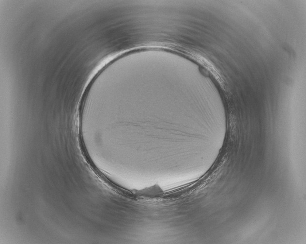 X0000115531428200912040940