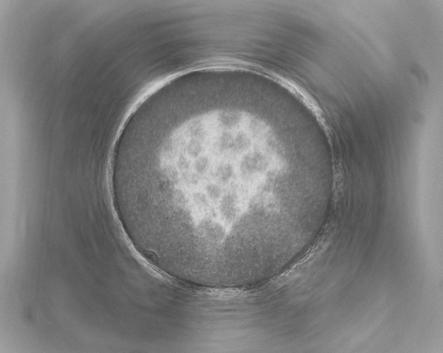 X0000115531429200912040940