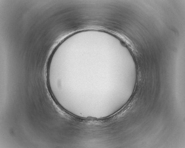 X0000115531430200912040940