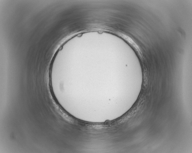 X0000115531431200912040940