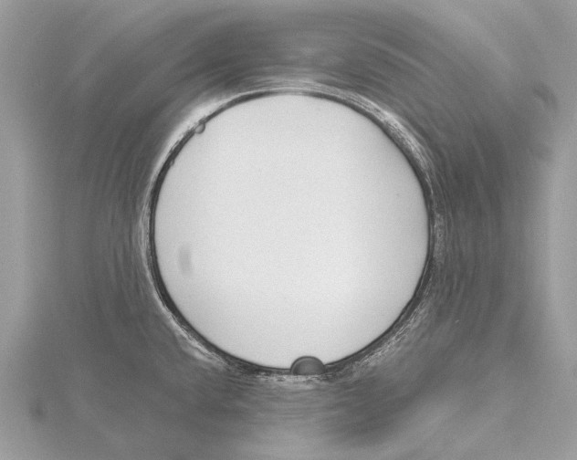 X0000115531432200912040940