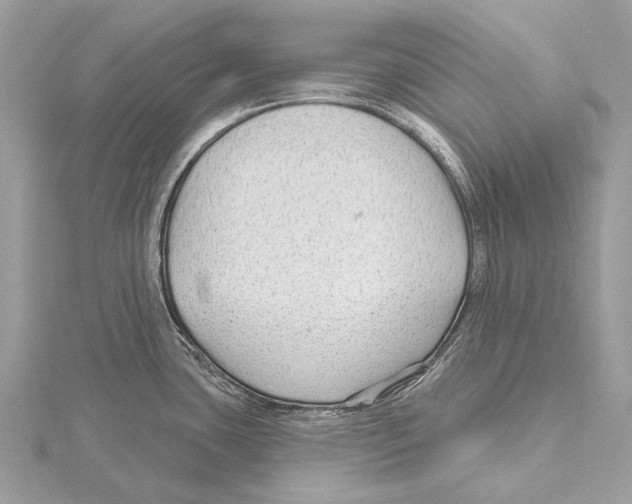 X0000115531435200912040940