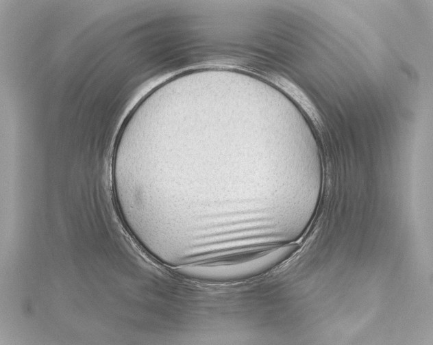 X0000115531436200912040940