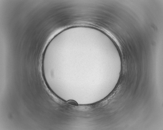 X0000115531437200912040940