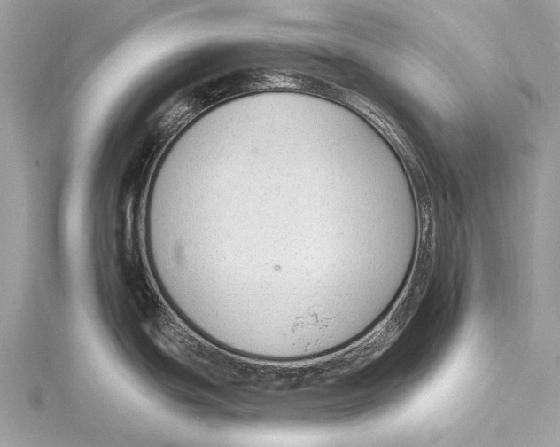 X0000115531439200912040940