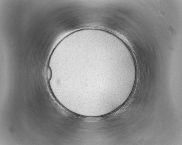 X0000115531440200912040940