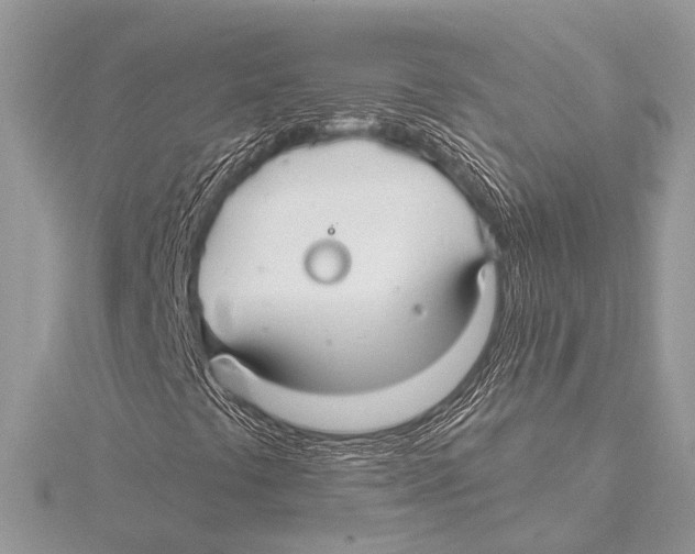 X0000115531441200912040940