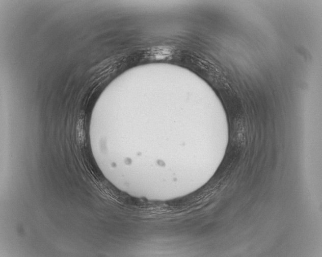 X0000115531442200912040940