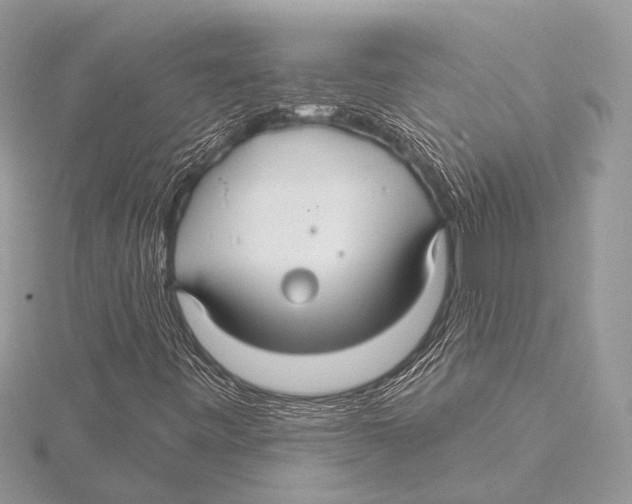 X0000115531443200912040940