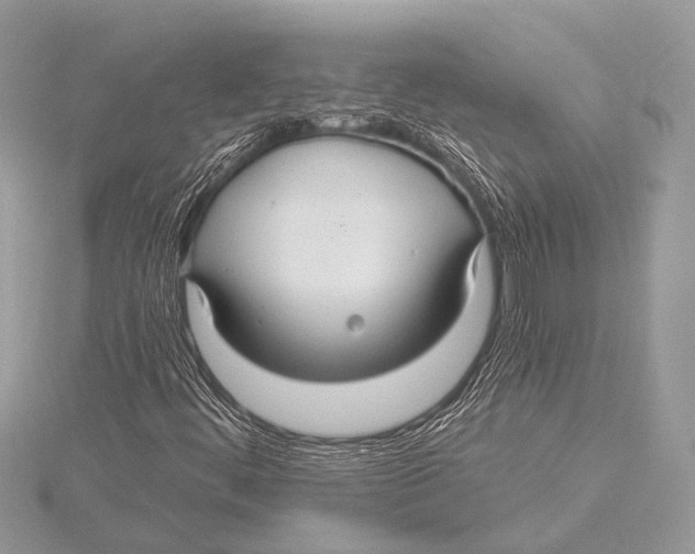 X0000115531444200912040940