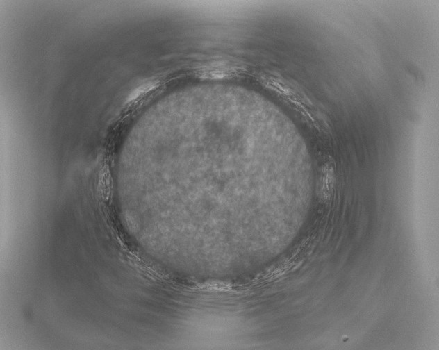 X0000115531446200912040940