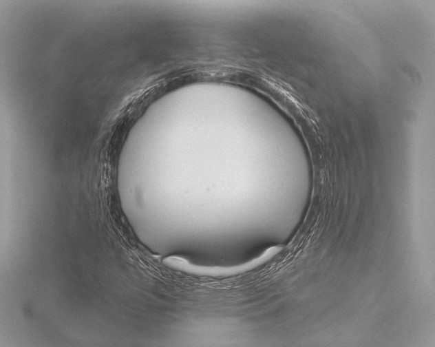 X0000115531447200912040940