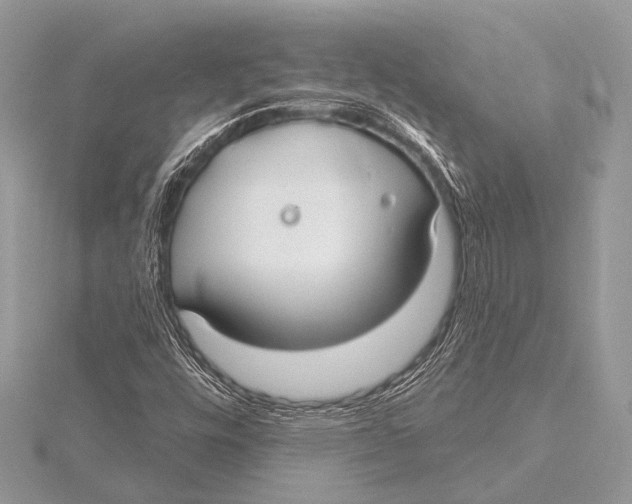 X0000115531448200912040940