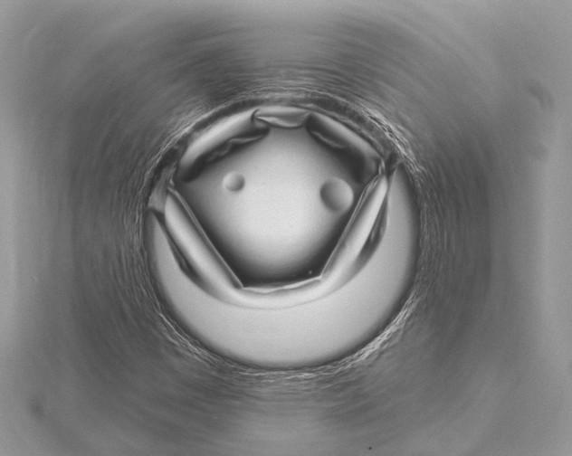 X0000115531449200912040940