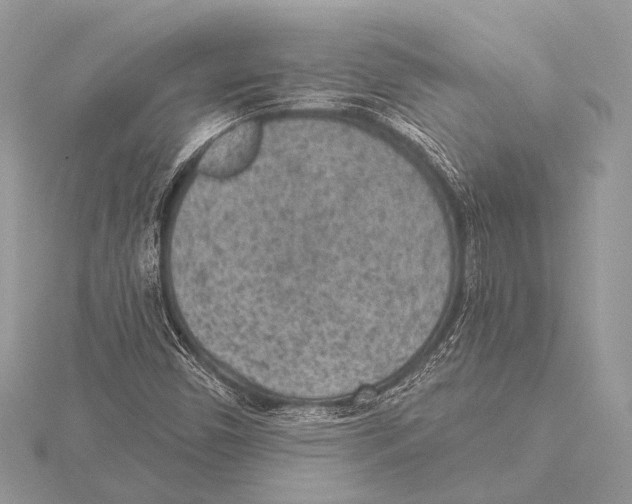 X0000115531450200912040940