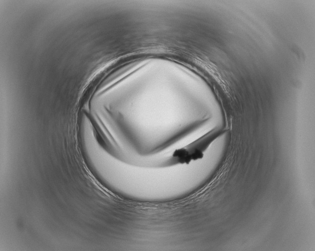 X0000115531452200912040940