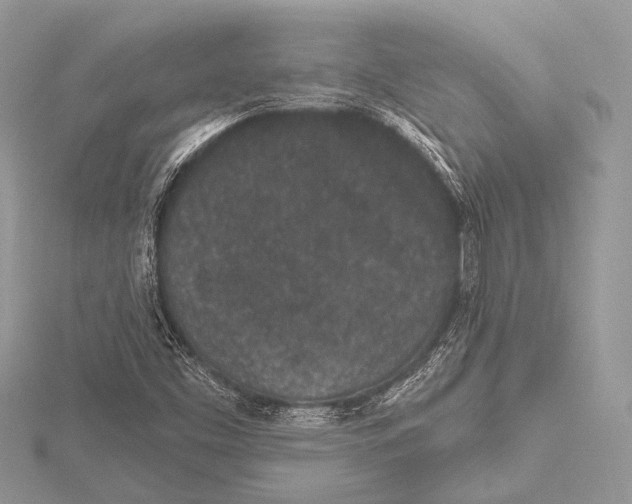 X0000115531453200912040940