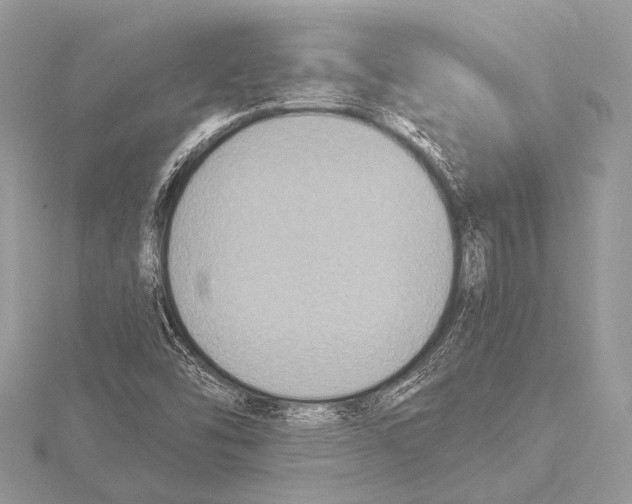 X0000115531454200912040940