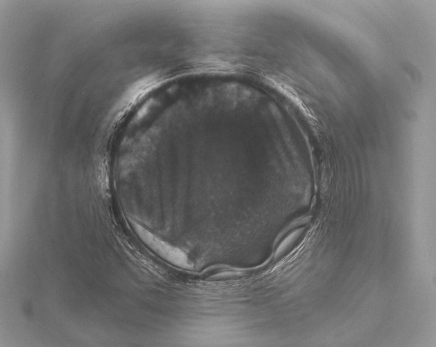 X0000115531455200912040940