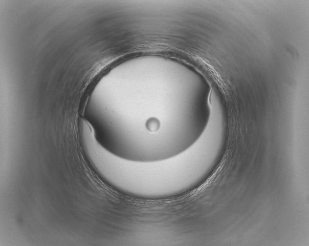 X0000115531457200912040940