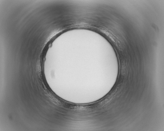 X0000115531458200912040939