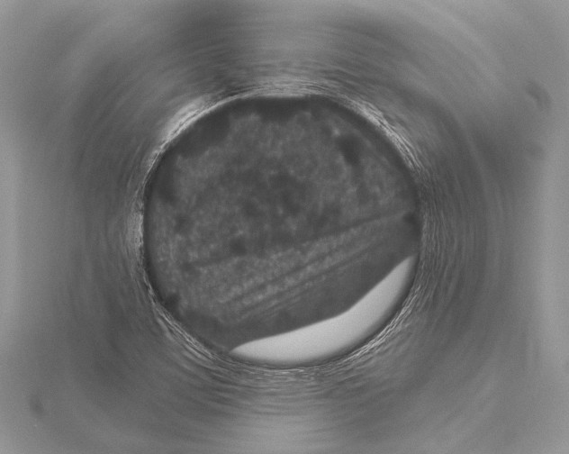 X0000115531459200912040939