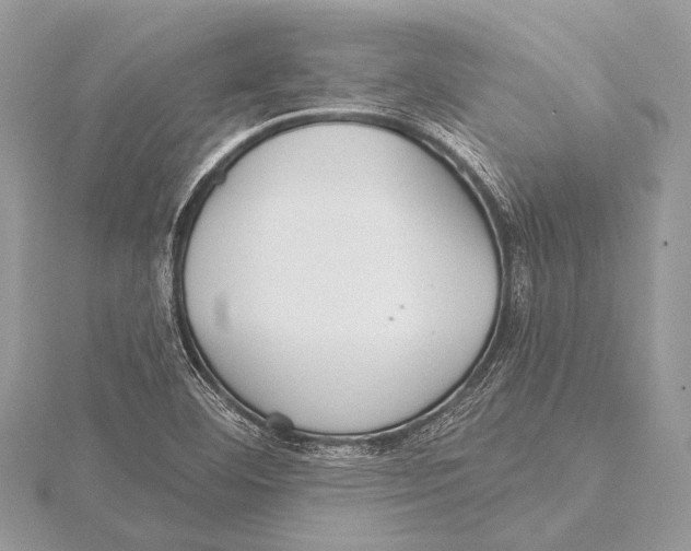 X0000115531460200912040939