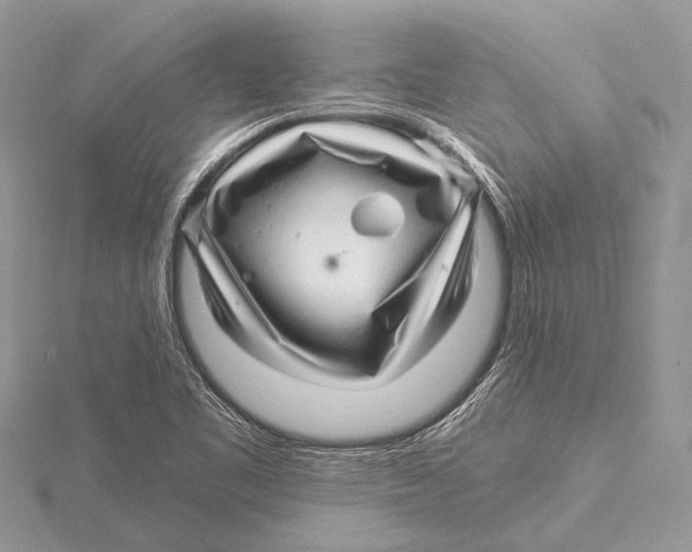 X0000115531461200912040939