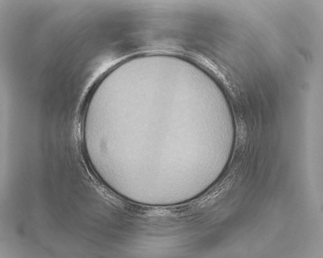 X0000115531462200912040939