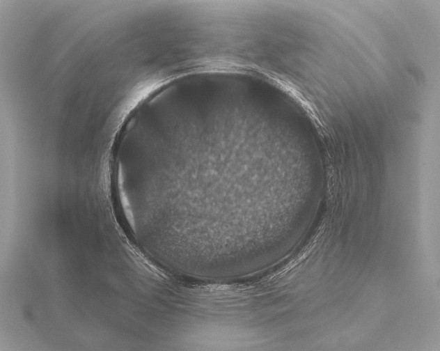 X0000115531463200912040939