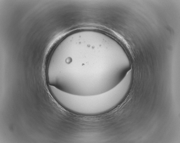 X0000115531464200912040939