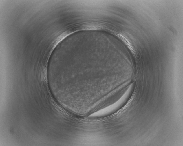 X0000115531465200912040939