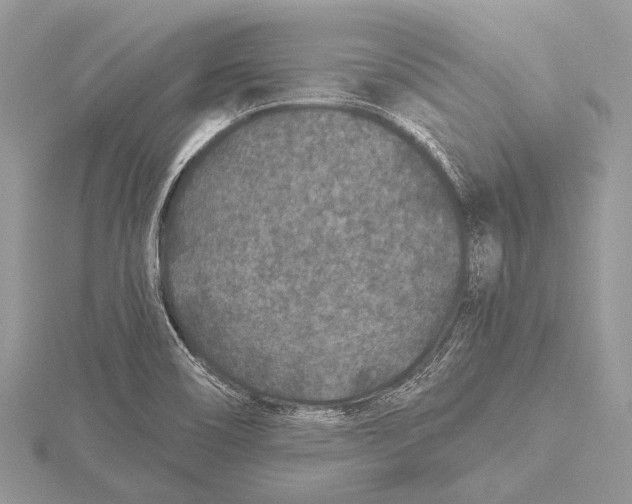 X0000115531466200912040939