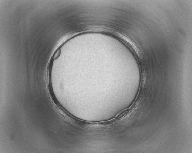 X0000115531467200912040939