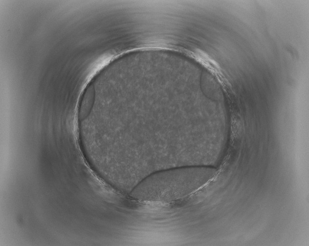 X0000115531469200912040939