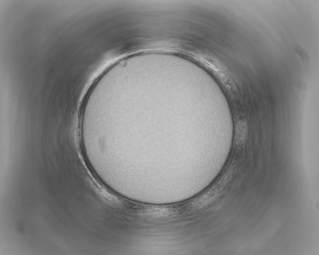 X0000115531470200912040939