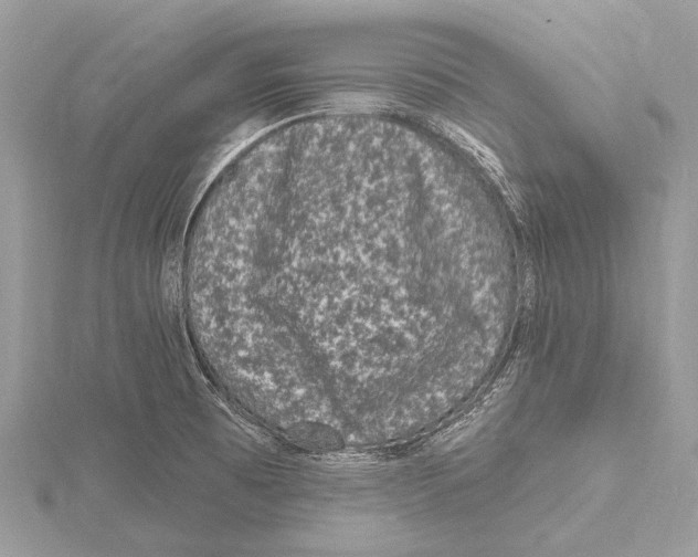 X0000115531473200912040939