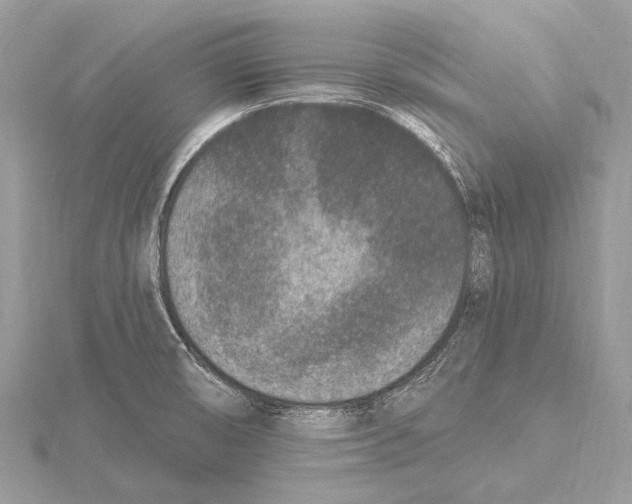 X0000115531474200912040939