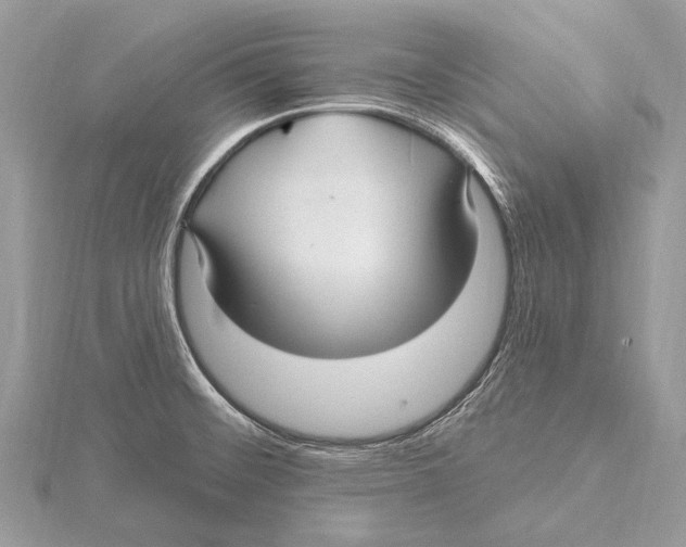 X0000115531476200912040939