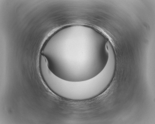 X0000115531477200912040939