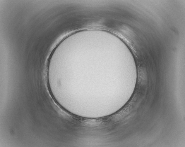 X0000115531478200912040939