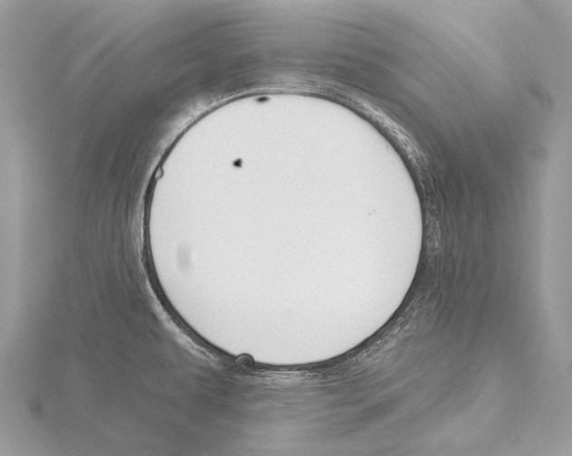 X0000115531479200912040939