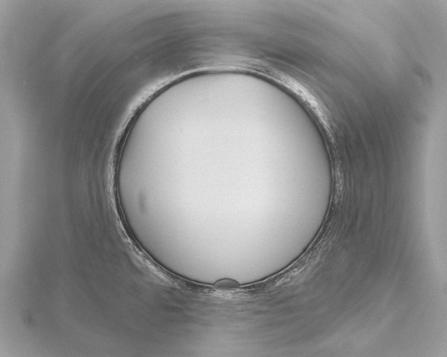 X0000115531480200912040939