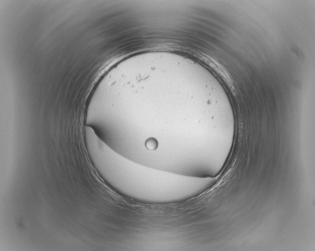 X0000115531481200912040939