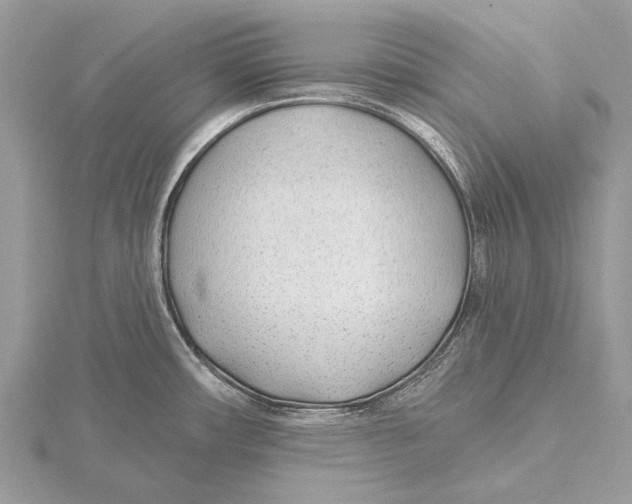 X0000115531482200912040939